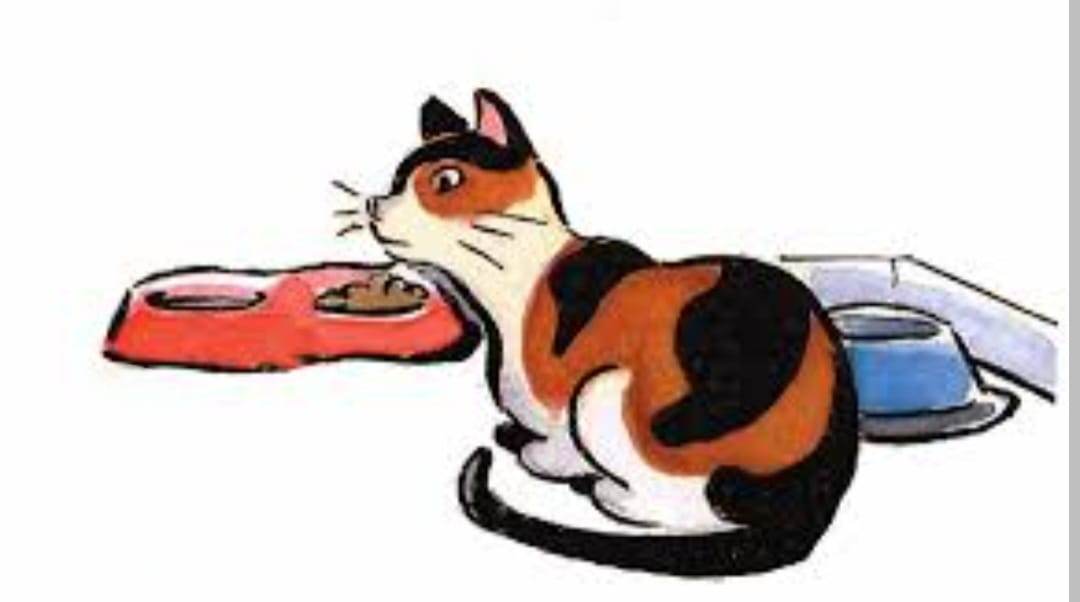 identifiering, veterinär och tystnad.