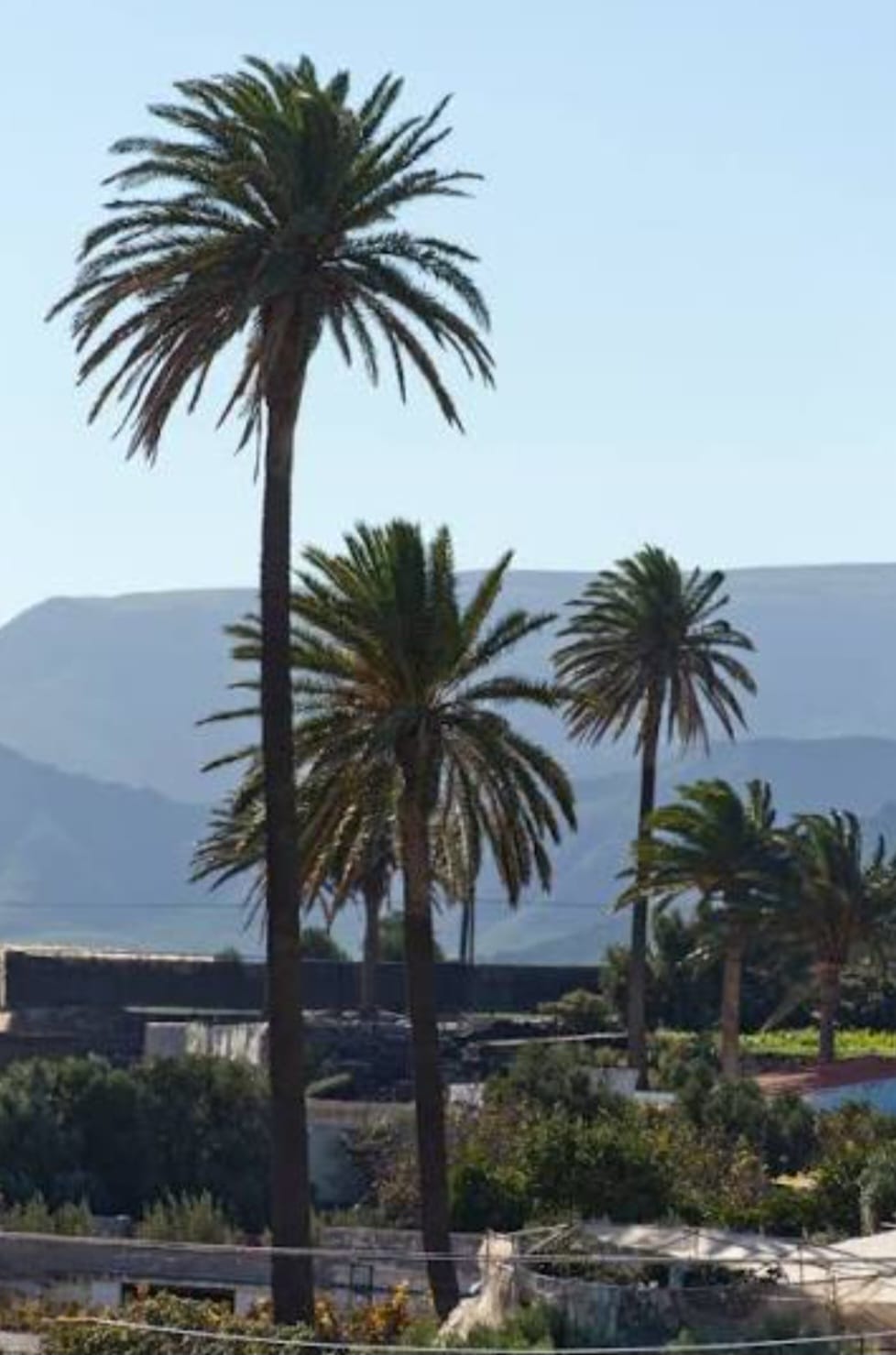 Kontrollförlust, tomma fickor och värme