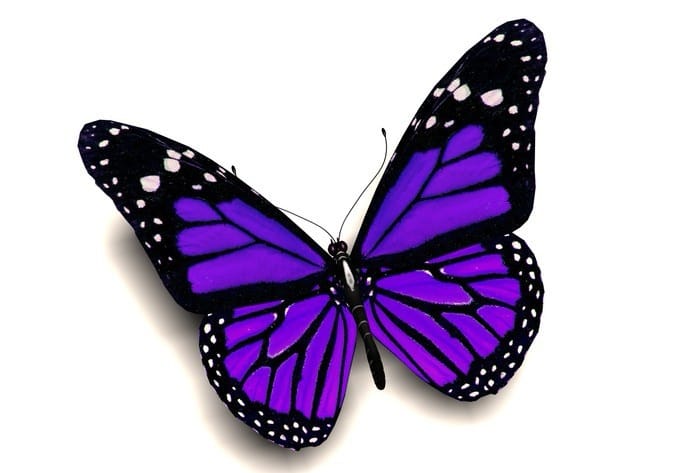 plantering och saknad