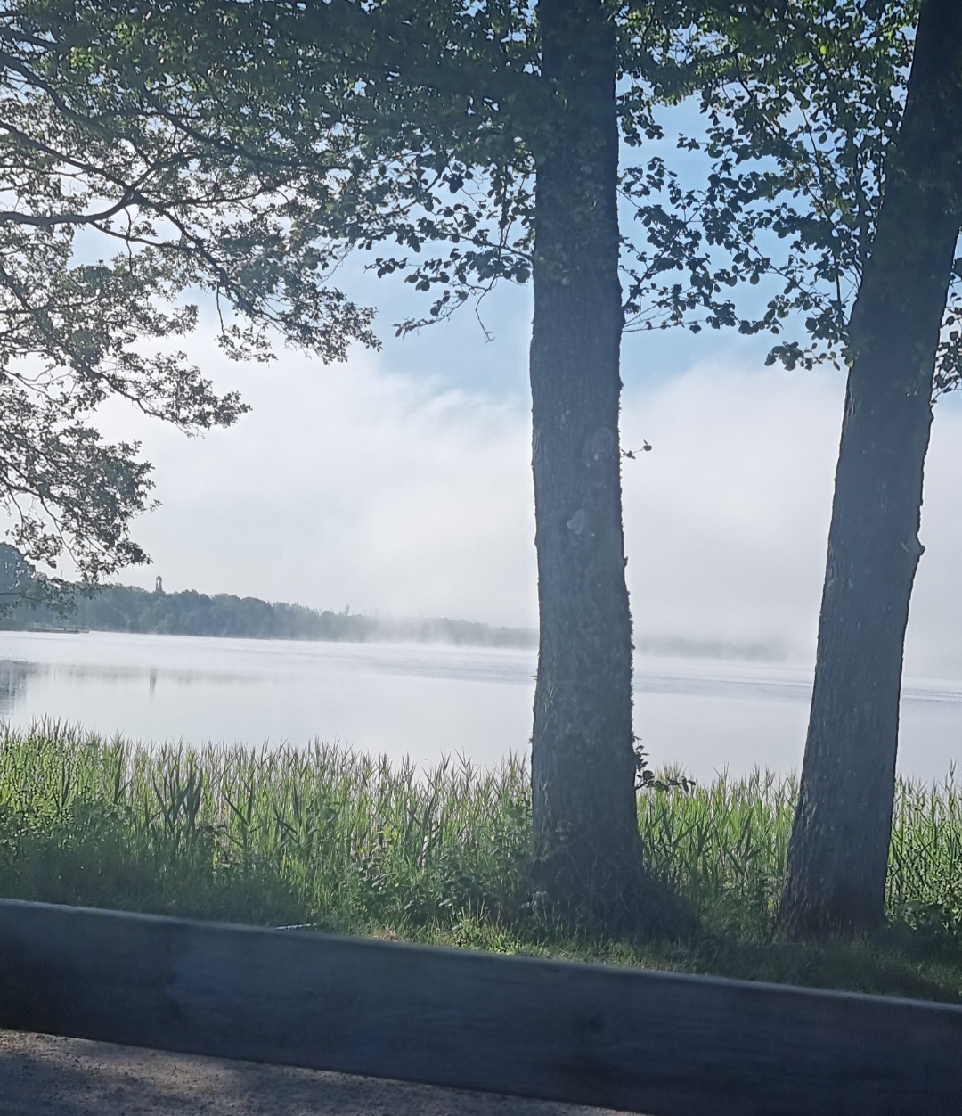 Njutning, mobb och pälstofflor.