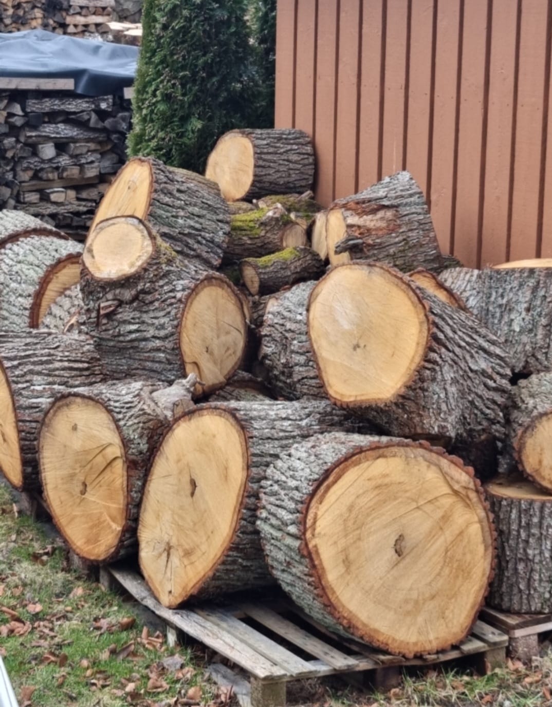 Tuppar, grannfejd och tävling