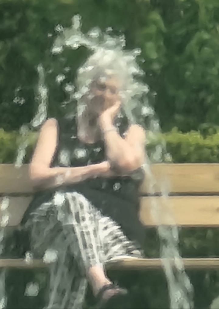 Kvinnan på bänken.