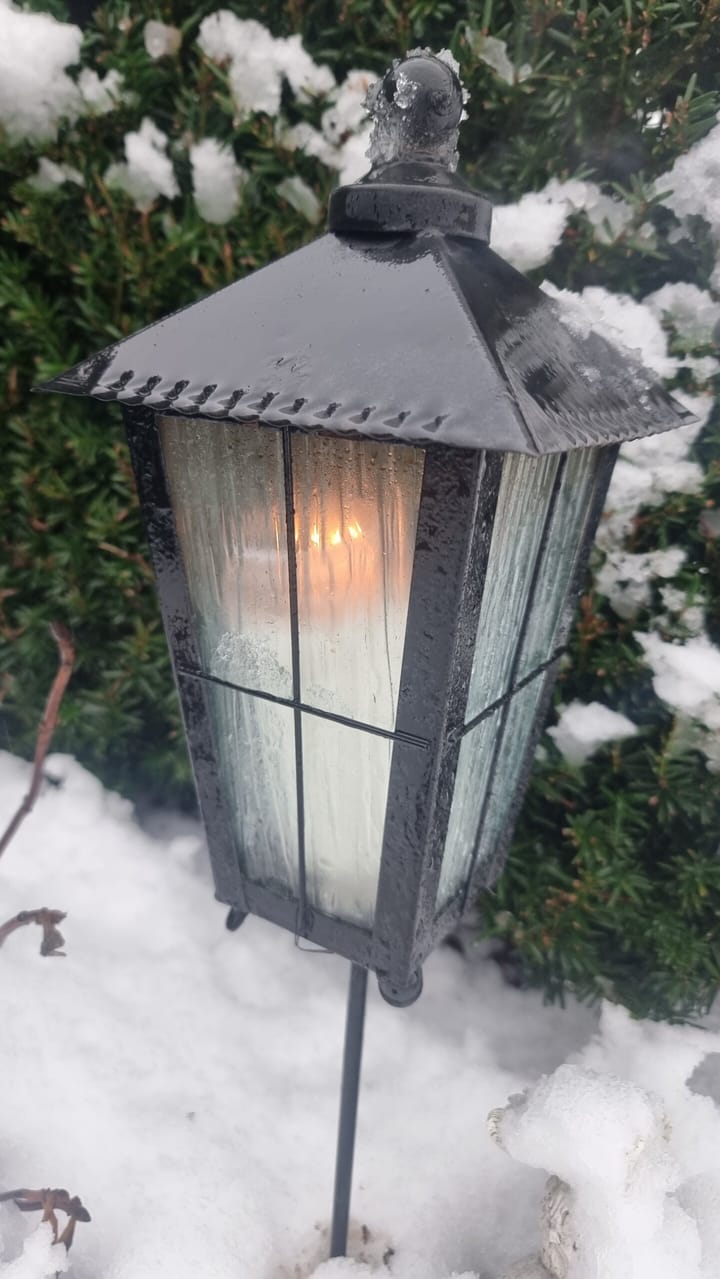 Födelsedag och fantastisk prins.