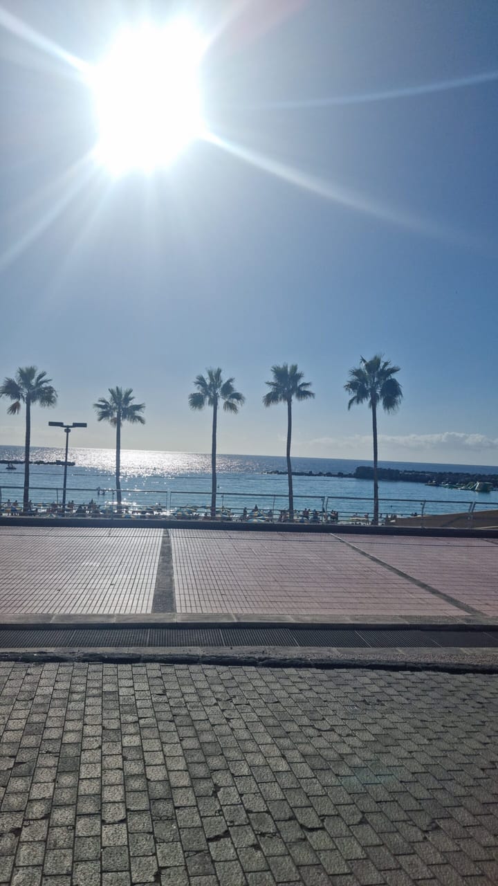 Hav, tidvatten och märkesväskor.