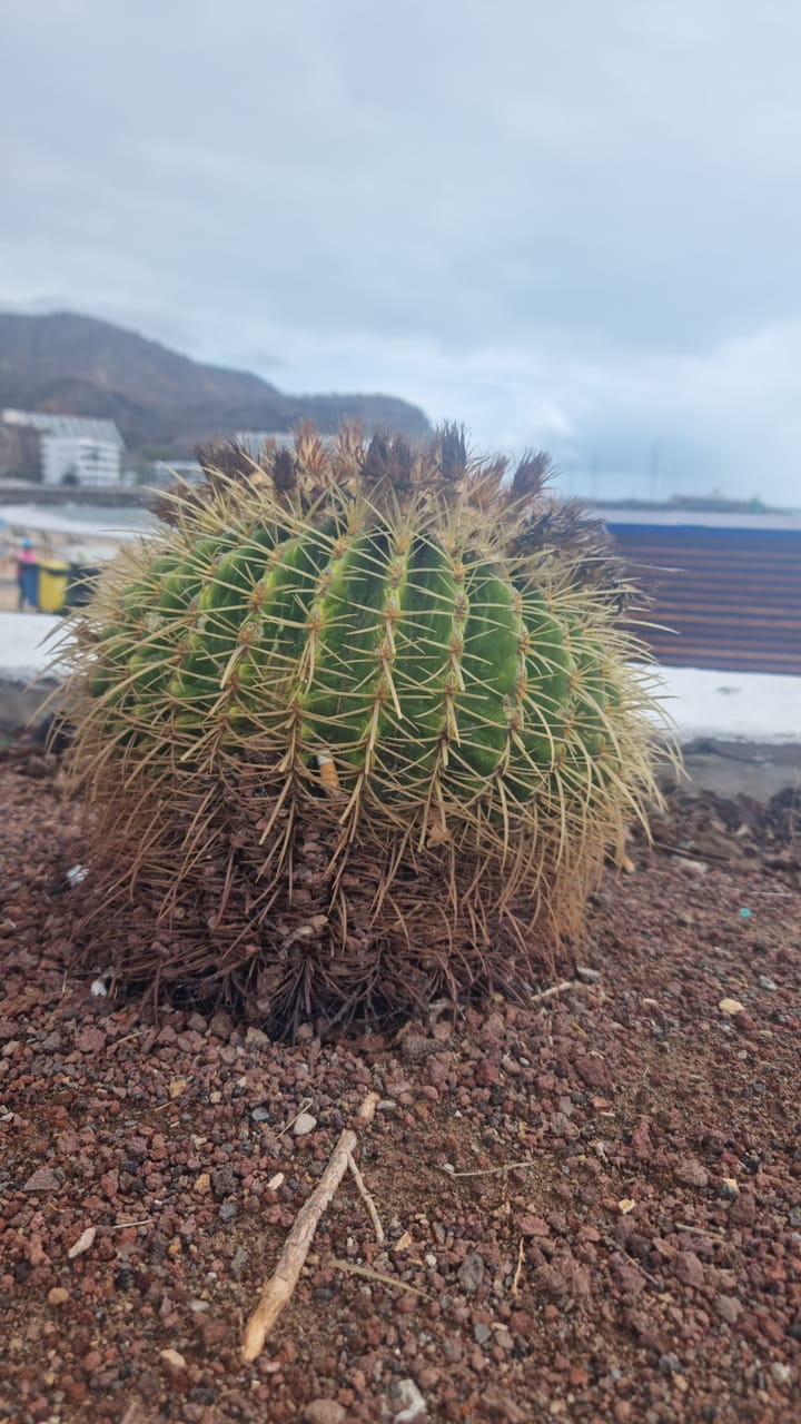 Lögn, påstridigt erbjudande, sekt och vodka.